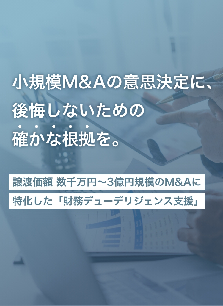 小規模M&Aに特化したデューデリジェンス支援